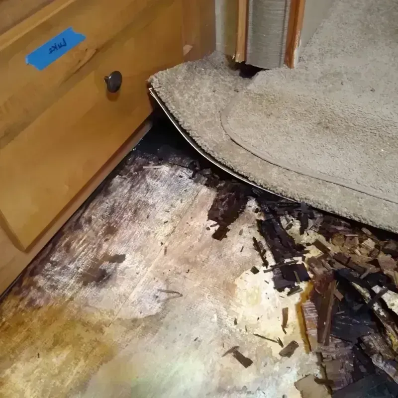 Wood Floor Water Damage in Manitowoc County, WI